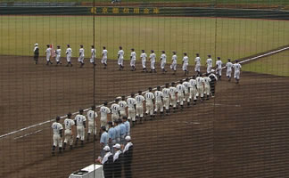 �H�G�ߋE����E�I�肽�����s�i���Ă���ʐ^