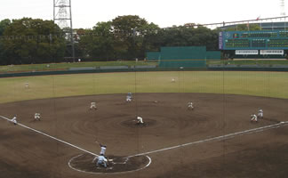 �H�G�ߋE�����E�T���i���ł̎ʐ^