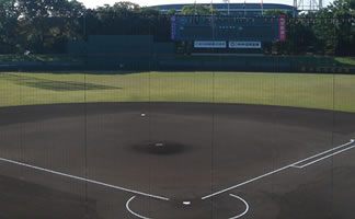 �H�G�ߋE���E�����ɋ���̎ʐ^